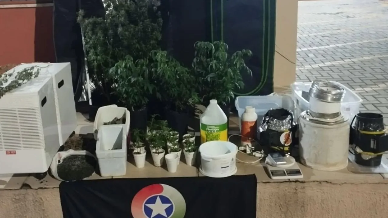 Polícia Militar desmonta estufa de maconha e prende dupla por tráfico em Lages | Foto: Reprodução