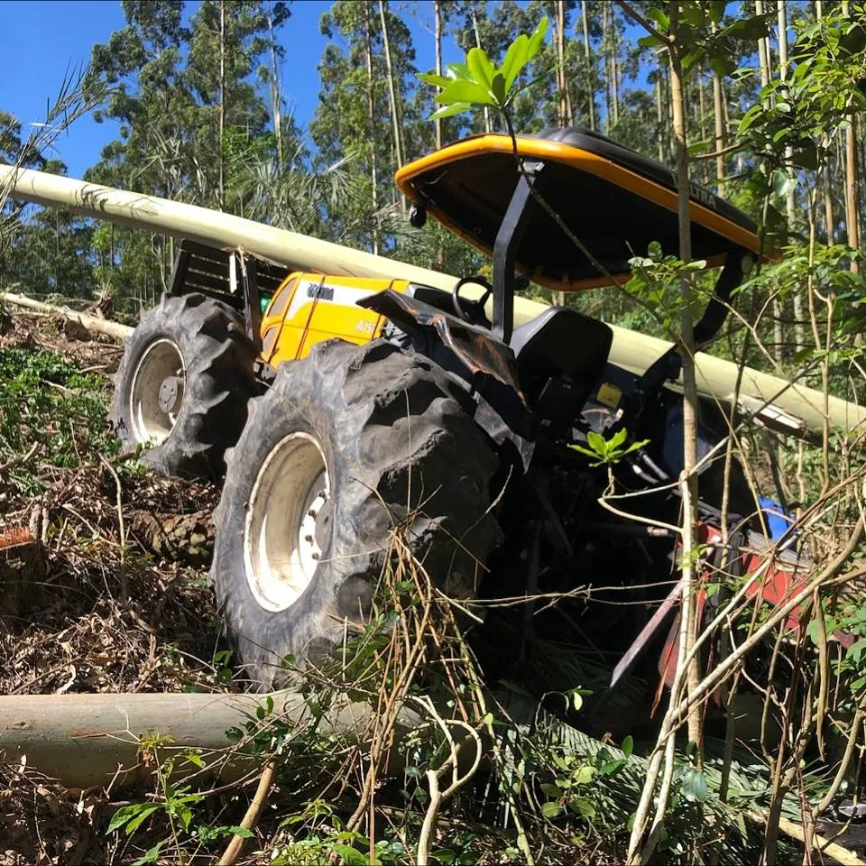 Trabalhador morre após ser prensado por árvore em SC