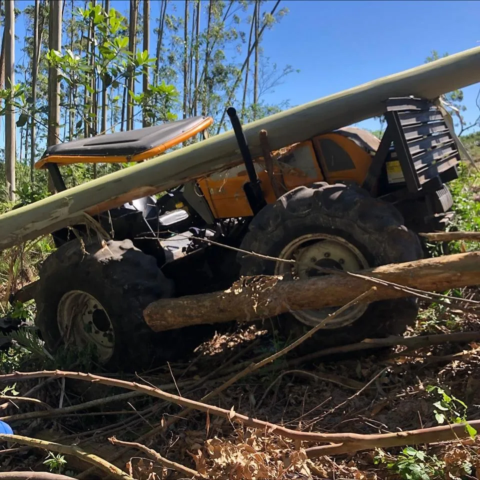 Trabalhador morre após ser prensado por árvore em SC