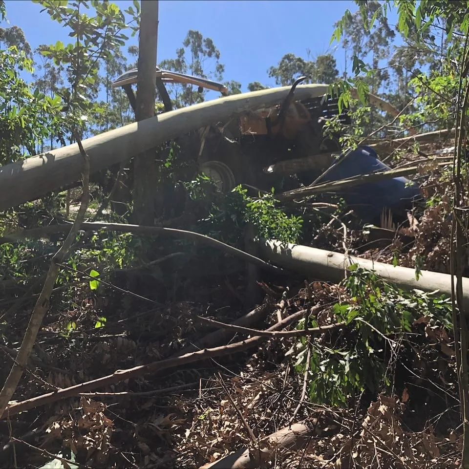 Trabalhador morre após ser prensado por árvore em SC