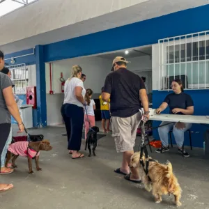 Prefeitura promove mais uma etapa de castrações gratuitas de cães e gatos
