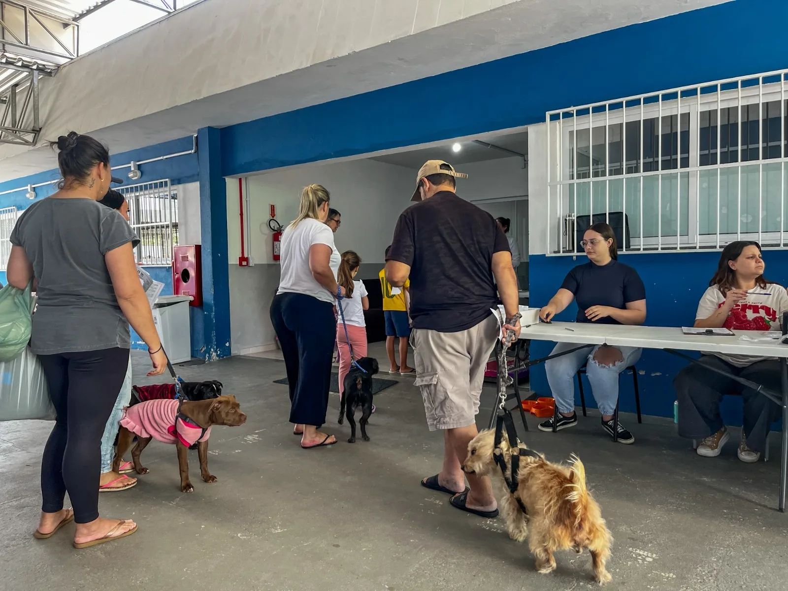 Prefeitura promove mais uma etapa de castrações gratuitas de cães e gatos