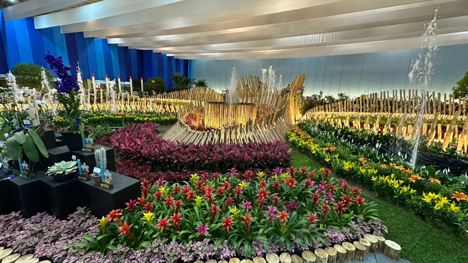 Foto: Diogo Kleimmann/SCC SBT