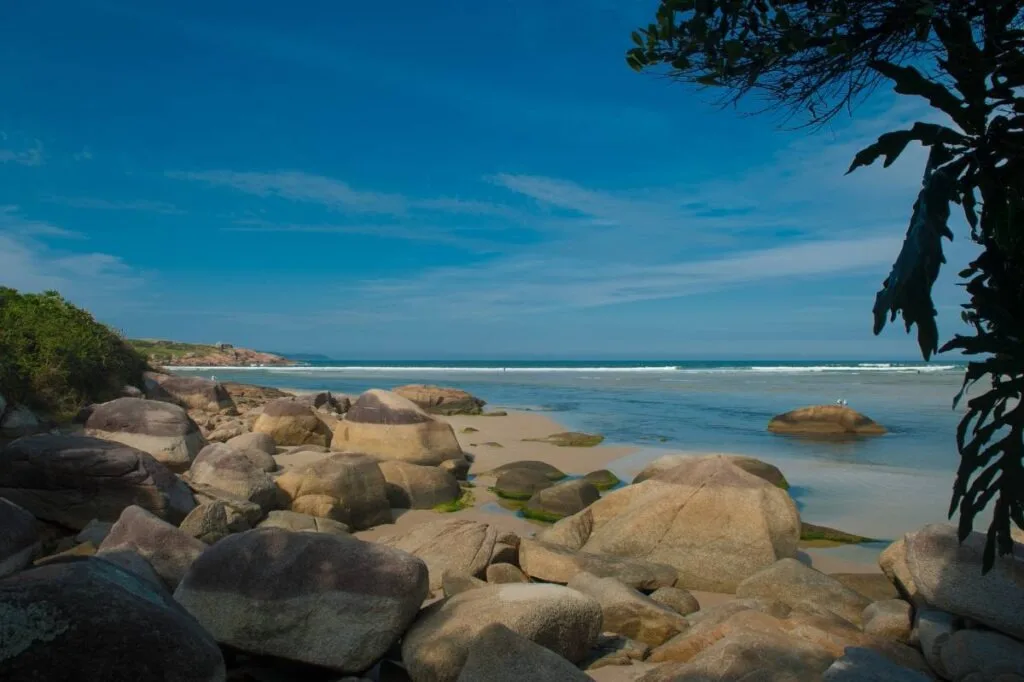 Foto: Ascom SC/Divulgação