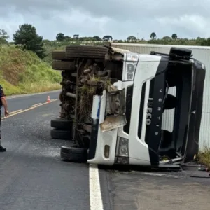 Caminhão tomba e motorista morre preso às ferragens na BR-282