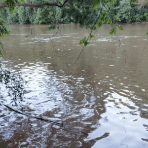 Adolescente de 13 anos morre após se afogar em rio de SC - Foto: CBMSC