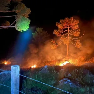 Bombeiros combatem incêndio em vegetação próximo a residência em Urubici