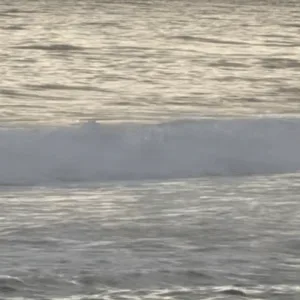 Bruna Marquezine e Shawn Mendes são flagrados em praia no RJ