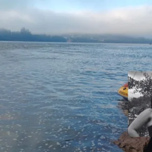 Após dias desaparecida, mulher é encontrada morta em rio de SC