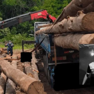 Foto: CBMSC/Reprodução