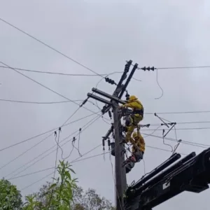 Celesc mobiliza 268 equipes e mantém Estado em alerta por conta do ciclone | Foto: divulgação / Celesc