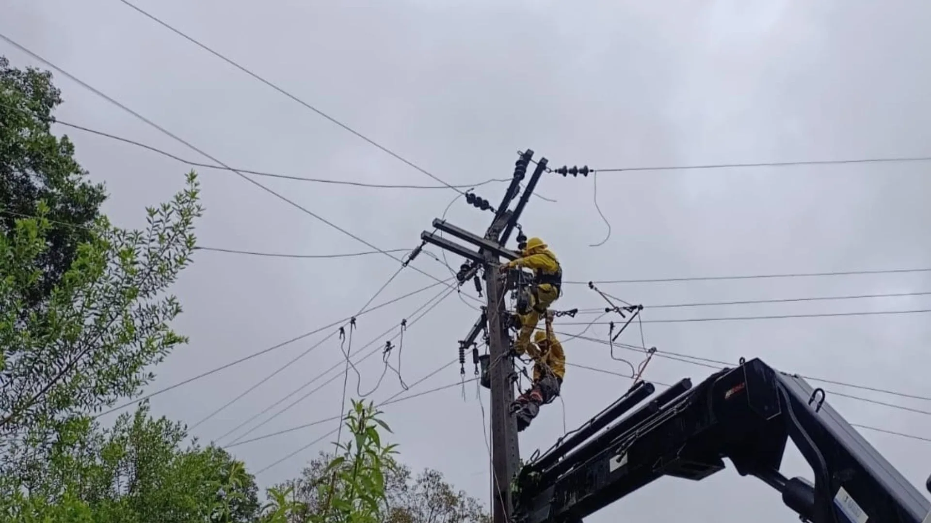 Celesc mobiliza 268 equipes e mantém Estado em alerta por conta do ciclone | Foto: divulgação / Celesc