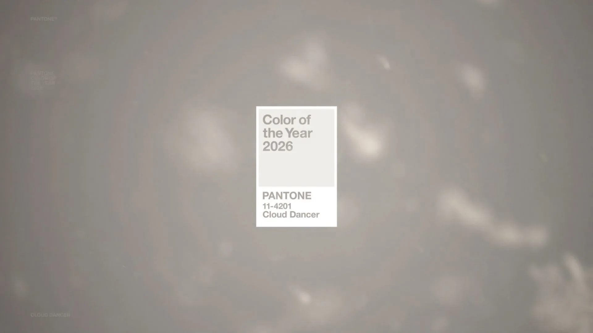 ‘Cloud Dancer’ é a cor de 2026 segundo Pantone | Foto: Pantone | Reprodução