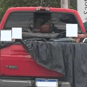 Condutor é flagrado transportando passageiros em piscina improvisada na caçamba de picape em Florianópolis - Foto: PMRv