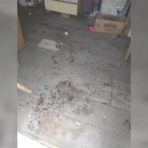 Homem é preso após tentar matar mulher com foice em Joinville