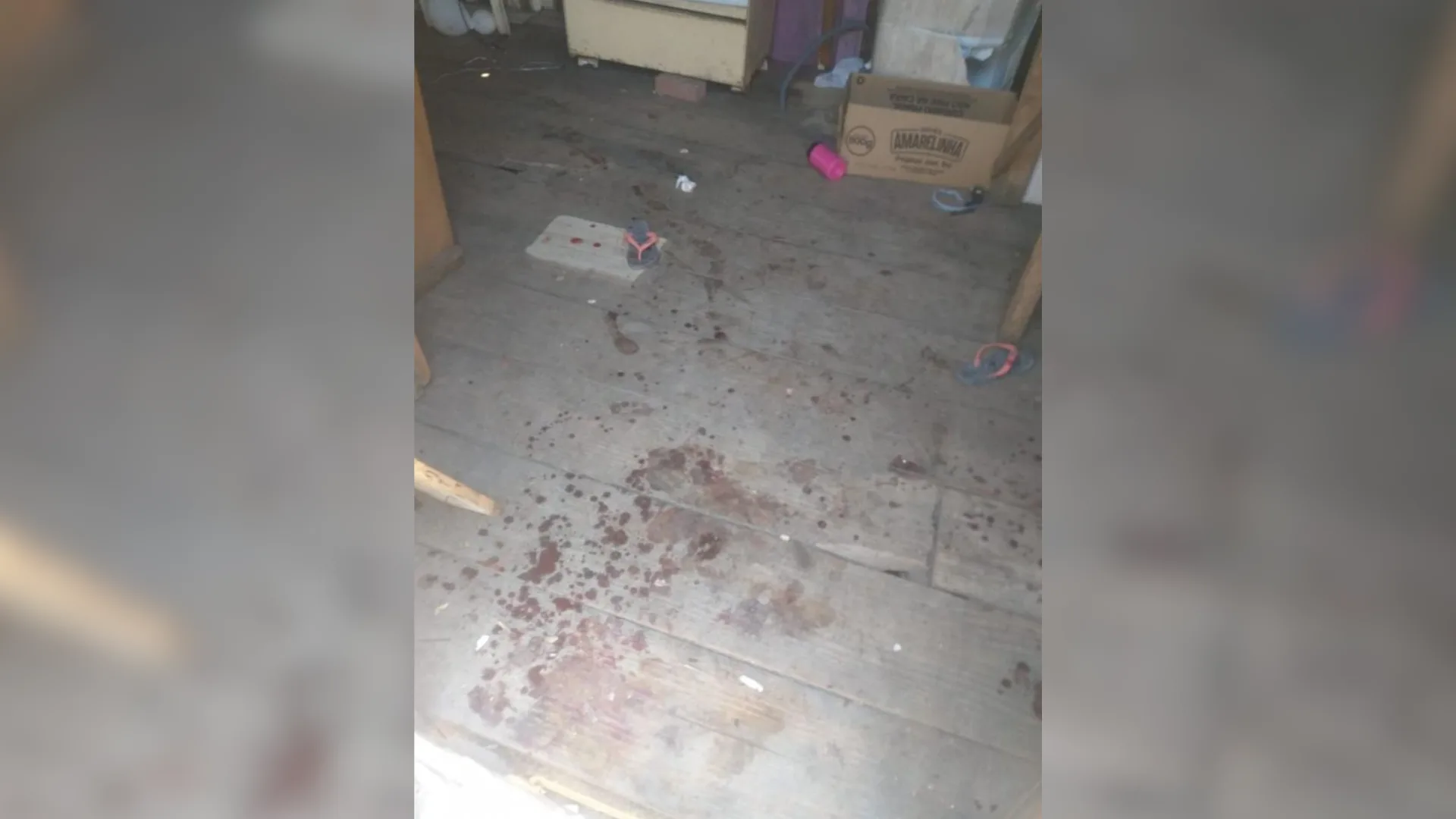 Foto: PMSC/Reprodução