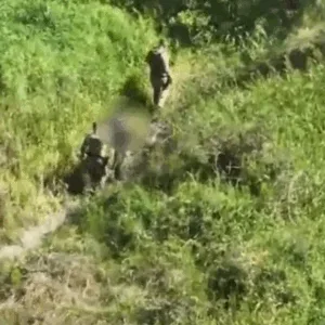 Importunação Sexual