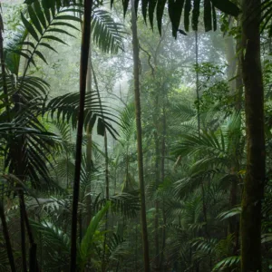 Influenciadora morre após ver 'figura assustadora' | Foto: Canva | Reprodução