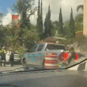 Joinville registra quedas de árvores, muros e bloqueios após ventania