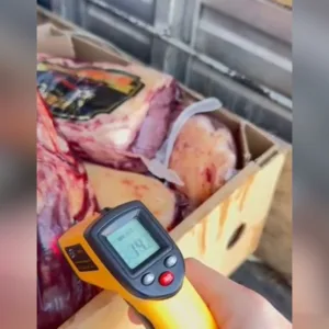 PRF flagrou carne imprópria para consumo na BR-101