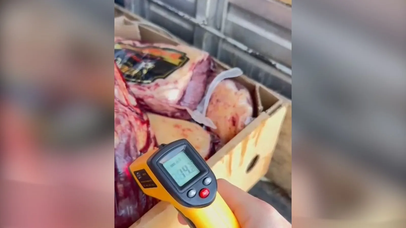 PRF flagrou carne imprópria para consumo na BR-101 – Foto: Reprodução/PRF