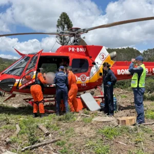 Idoso sofre fratura exposta ao ser atingido por árvore durante trabalho em SC