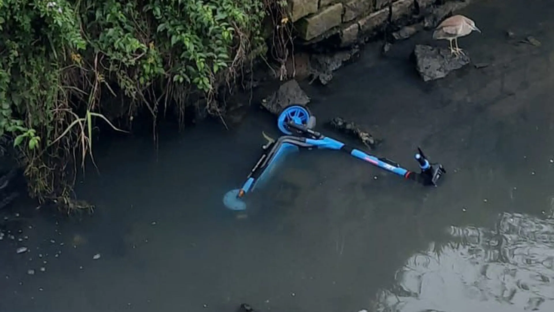 Vandalismo em patinetes elétricos preocupa usuários na Grande Florianópolis  | Foto: reprodução / Redes Sociais 
