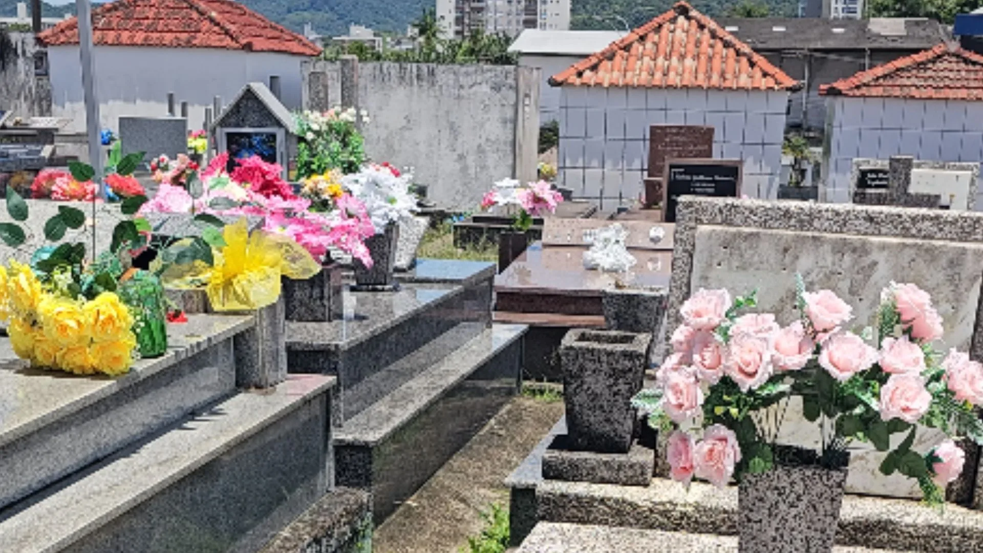 MPSC deflagra operação contra venda ilegal de túmulos em Palhoça | Foto: Thiago Pires / SCC SBT 