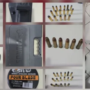 Homem é preso por maus-tratos e posse ilegal de armas em SC | Foto: divulgação PCSC 