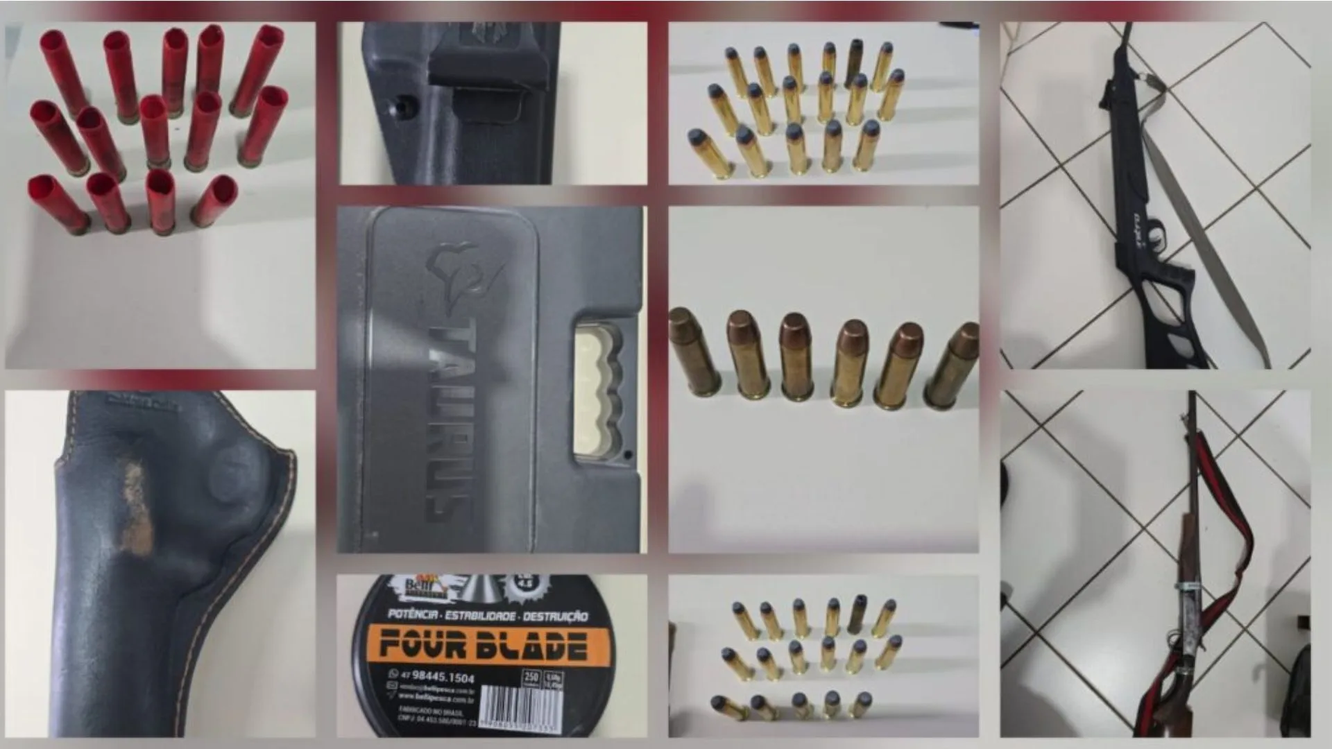 Homem é preso por maus-tratos e posse ilegal de armas em SC | Foto: divulgação PCSC 