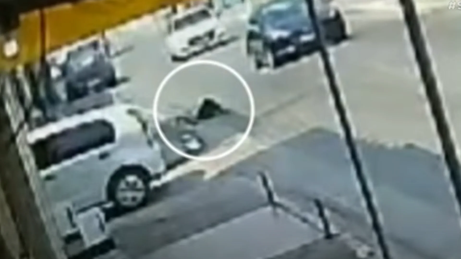 Pai é preso por tentar matar filha ao arrastá-la com carro – Imagem: reprodução/ SBT News