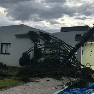 Veja o momento em que chuva chega a Chapecó e deixa muros caídos, árvores no chão e carros pendurados | Imagem: Defesa Civil de SC