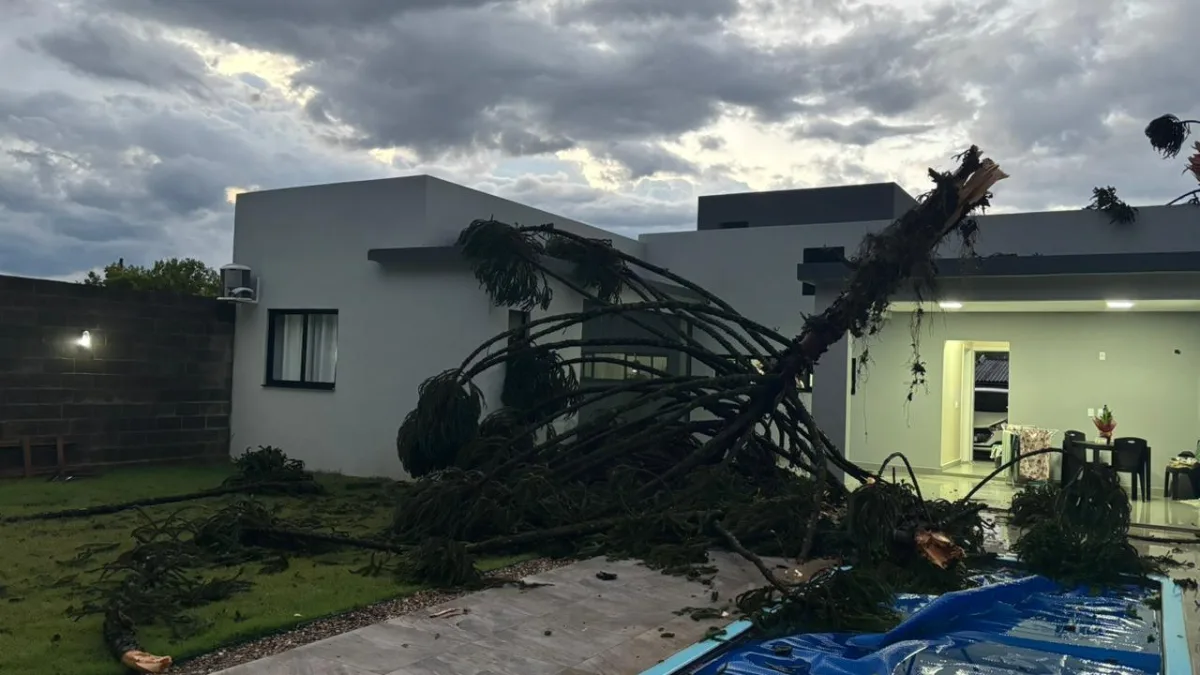 Veja o momento em que chuva chega a Chapecó e deixa muros caídos, árvores no chão e carros pendurados | Imagem: Defesa Civil de SC