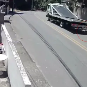 Homem é preso em SC por arrastar cachorro por 1 km amarrado a caminhão