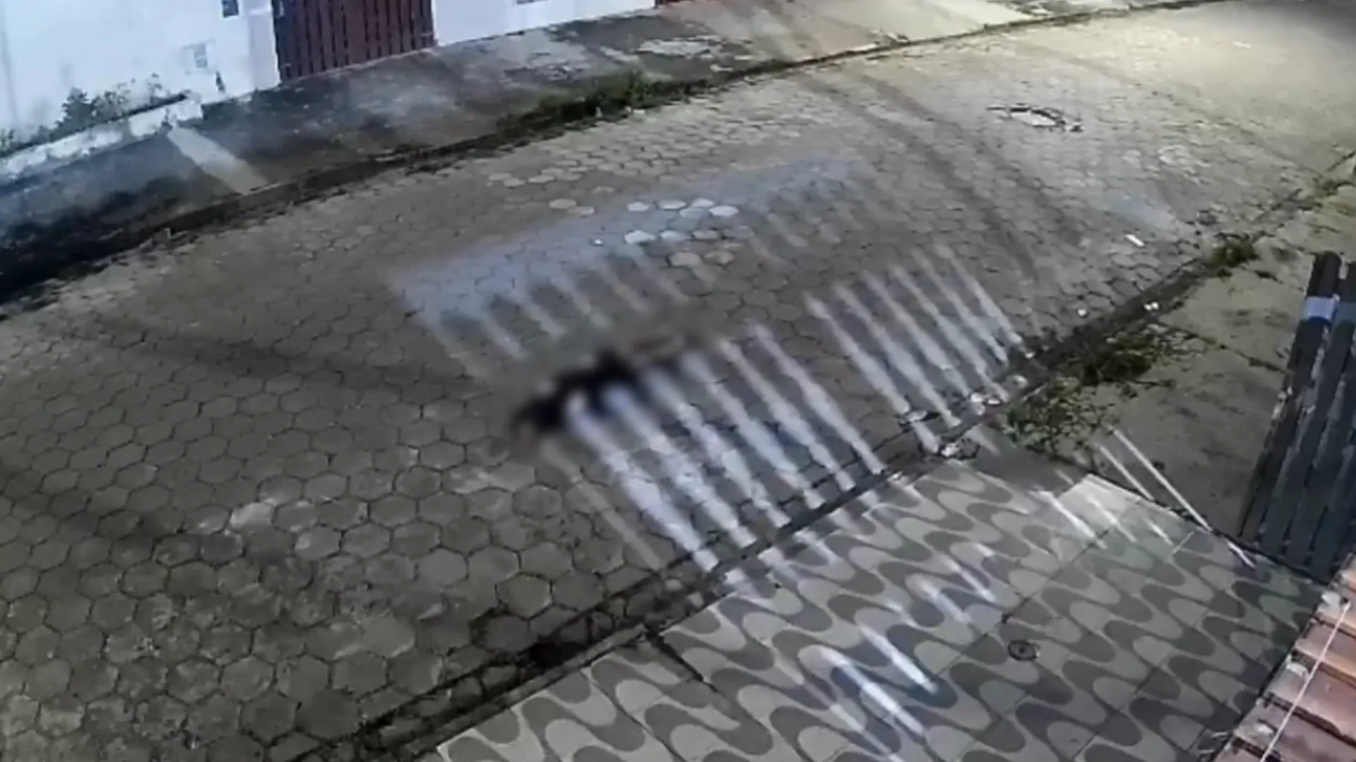 Foto: Reprodução/Metrópoles