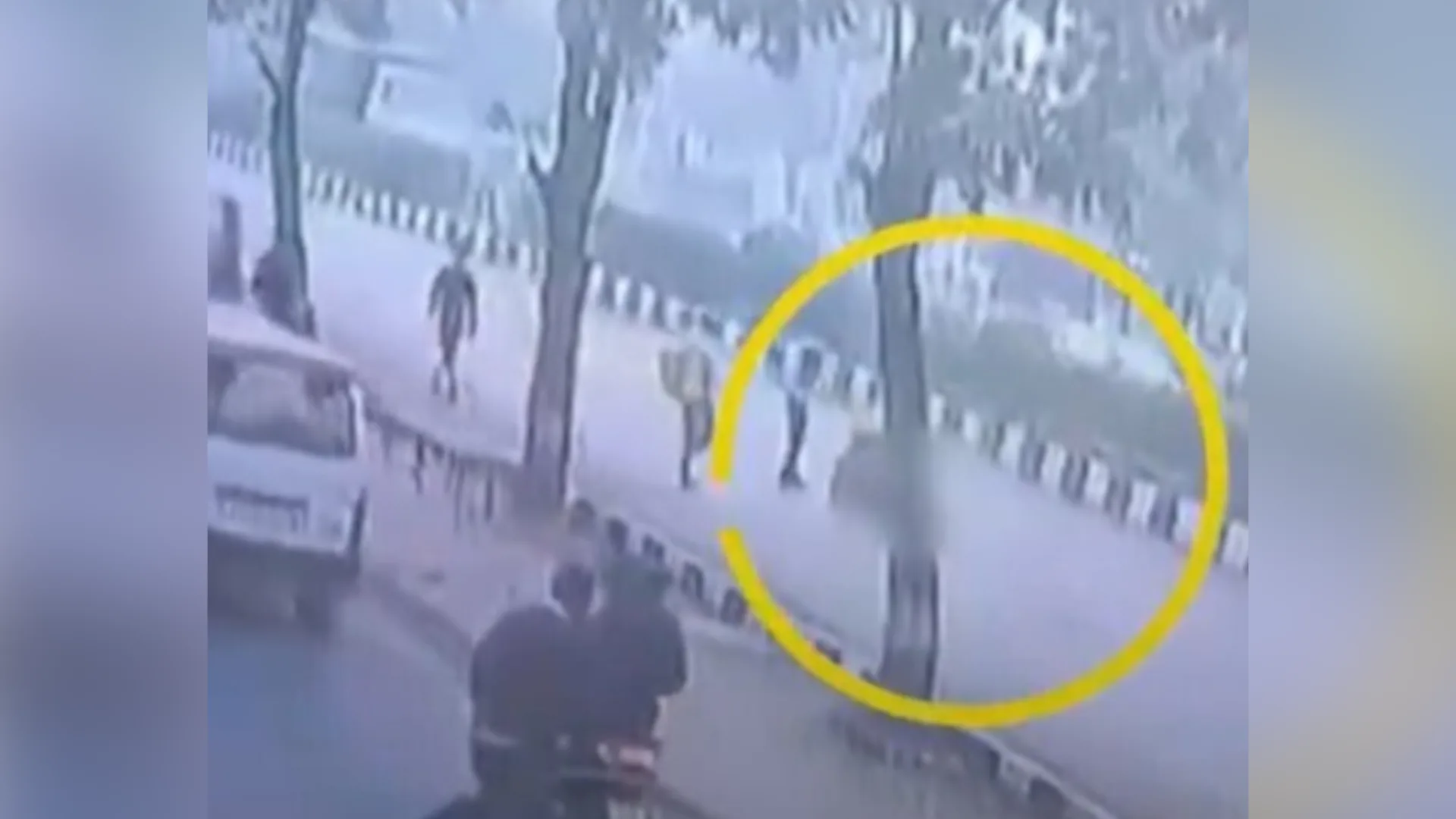 Foto: Bacci Notícias/Reprodução