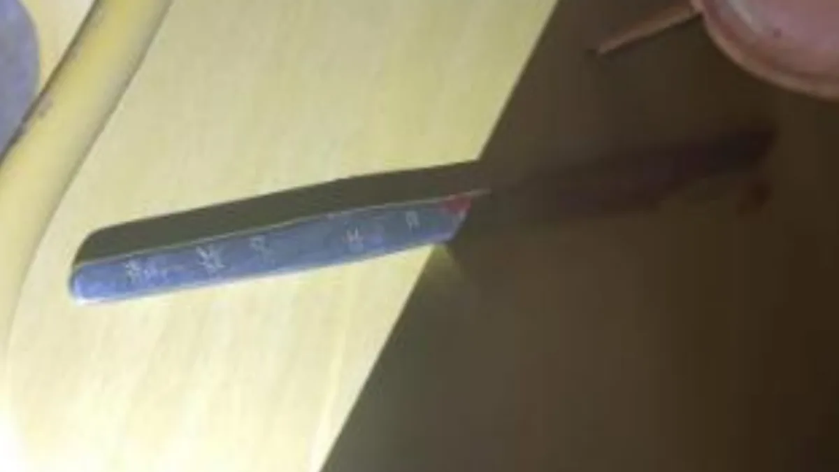 Mulher é presa após esfaquear homem durante discussão em SC – Foto: Polícia Militar