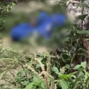 Polícia identifica suspeitos ligados à execução de técnicos de internet