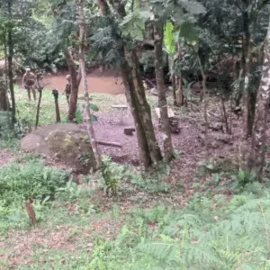 Foto: PMSC/Divulgação