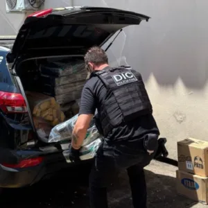 Polícia Civil de Lages incinera meia tonelada de drogas em operação