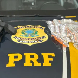 Remédios ilegais avaliados em mais de R$ 1 milhão são apreendidos na BR-101; Veja onde em SC.| Foto: Divulgação / Polícia Rodoviária Federal