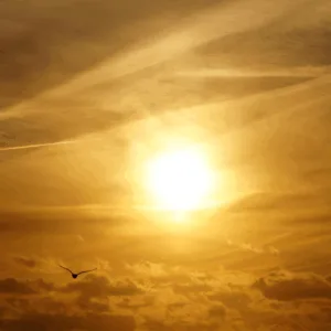 Solstício de Verão