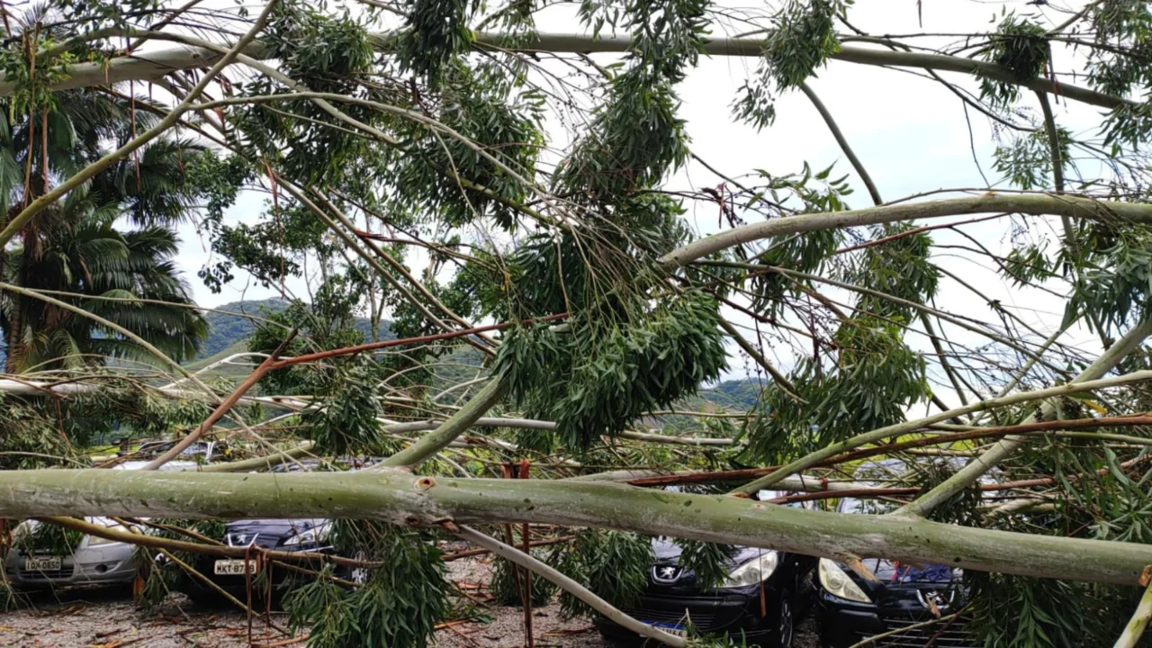 Temporal causa estragos em Gaspar e deixa 9 mil residências sem energia elétrica