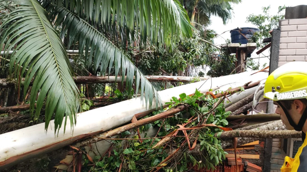 Temporal causa estragos em Gaspar e deixa 9 mil residências sem energia elétrica