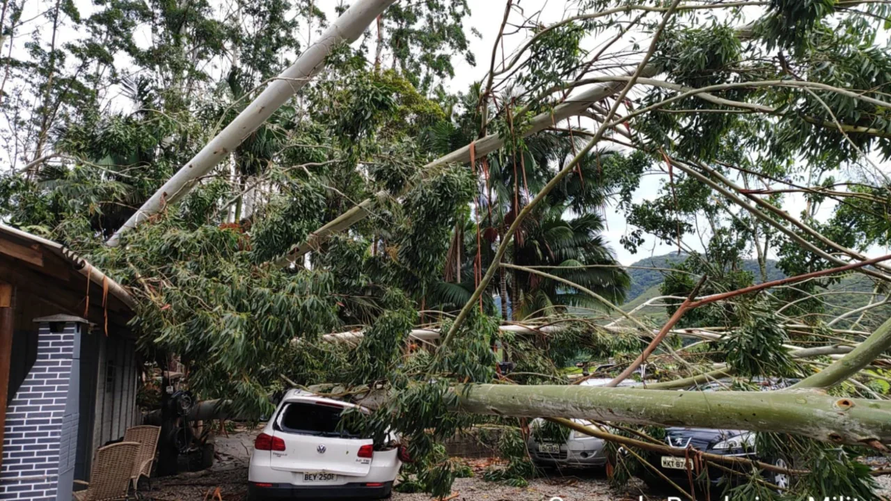 Temporal causa estragos em Gaspar e deixa 9 mil residências sem energia elétrica