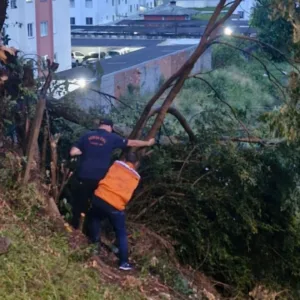 Tempestade com rajadas de vento causa estragos em Lages; Defesa Civil segue em alerta | Foto: Amarildo Volpato