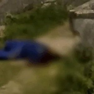 Três funcionários de empresa de internet são encontrados mortos; entenda - Foto: Divulgação/SBT News