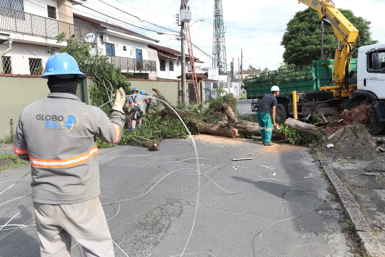 Ventos Joinville (1)
