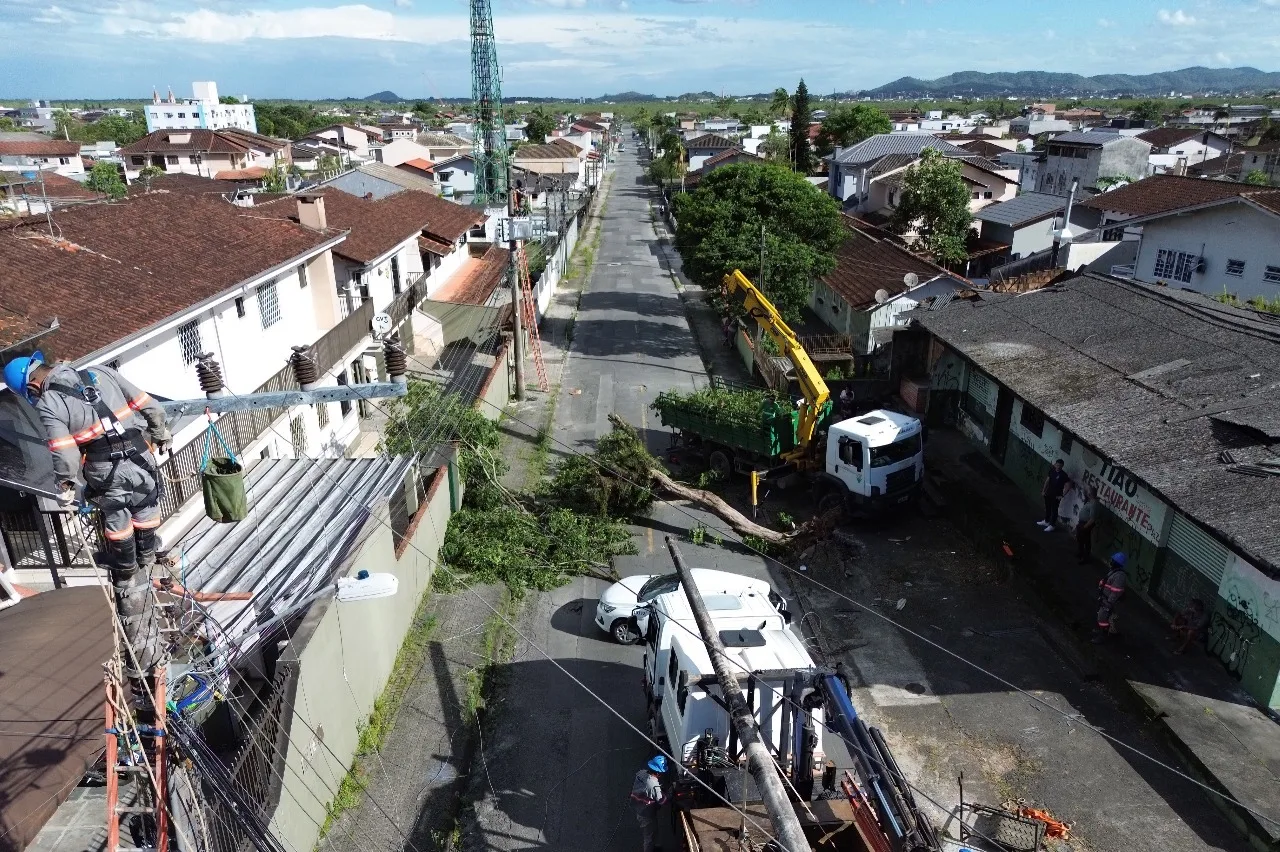 Foto: Prefeitura de Joinville/Reprodução