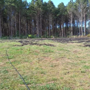 Foto: CBMSC/Divulgação